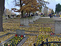 Warszawa - cmentarz Wawryszewski