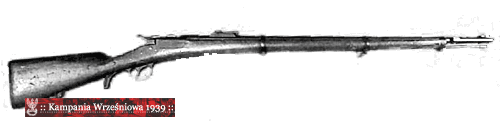 Karabin Werndl-Holub wz. 1873/77
