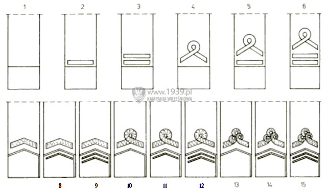 Oznaki stopni Wojsk Wielkopolskich na naramiennikach: 1. szeregowy, 2. st. szeregowy, 3. kapral, 4. podoficer (plutonowy armii krajowej), 5. plutonowy (sierant w armii krajowej), 6. sierant sztabowy, wachmistrz sztabowy, 7. podporucznik, 8. porucznik, 9. kapitan, rotmistrz, 10. major, 11. podpukownik, 12. pukownik, 13. genera major, 14. genera porucznik, 15. genera broni.  