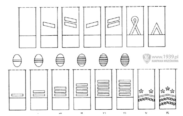 Oznaki stopni na czapkach i rkawach Armii Polskiej we Francji: 1. onierz, 2. st. onierz, 3. kapral, 4. plutonowy, 5. sierant, 6. aspirant oficer, 7. adiunkt (st. sierant podchory), 8. podporucznik, 9. porucznik, 10. kapitan, 11. major, 12. podpukownik, 13. pukownik, 14. genera brygady, 15. genera dywizji.