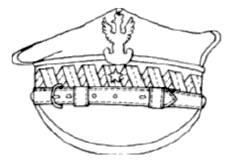 Czapka generaa brygady wz. 1919