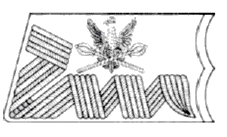Patka na kołnierz kurtki marszałka Polski wz. 1920
